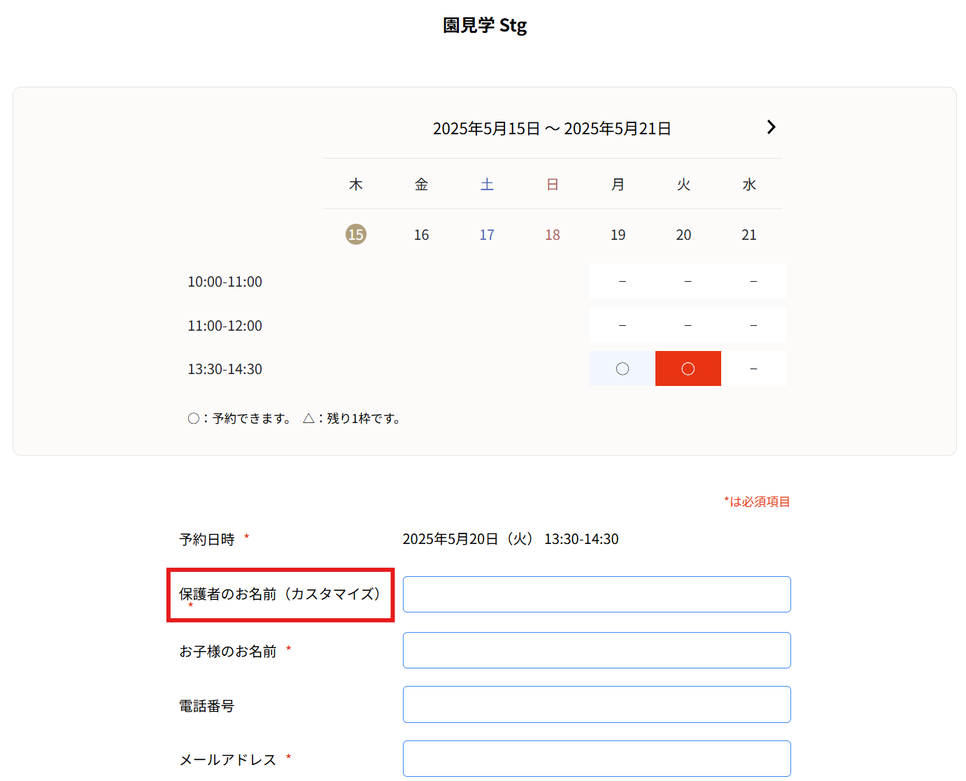 実際のフォーム画面での表示例